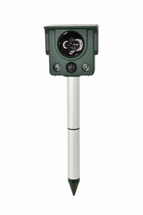 AW62017-1.jpg