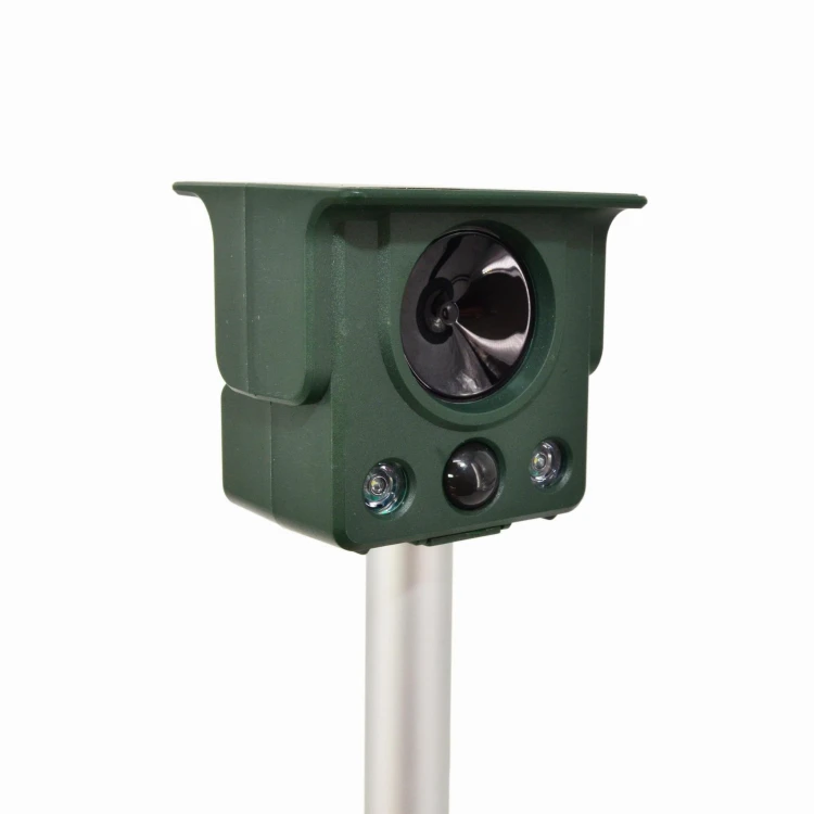 AW62017-4.jpg