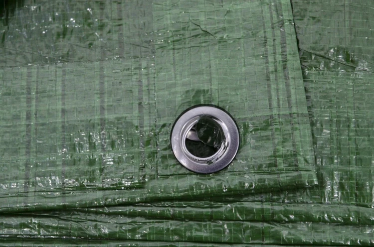 AW68032.jpg