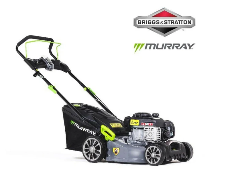 MURAY%20EQ2.jpg