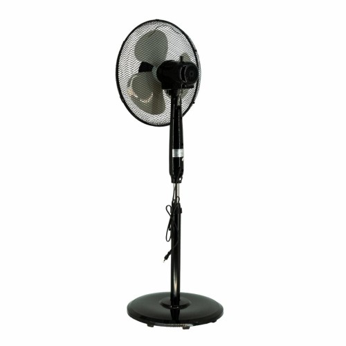 VO2557%20-%204.jpg