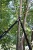 1027528_03.jpg