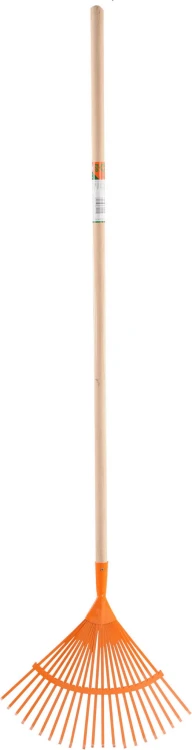 35799_1.jpg