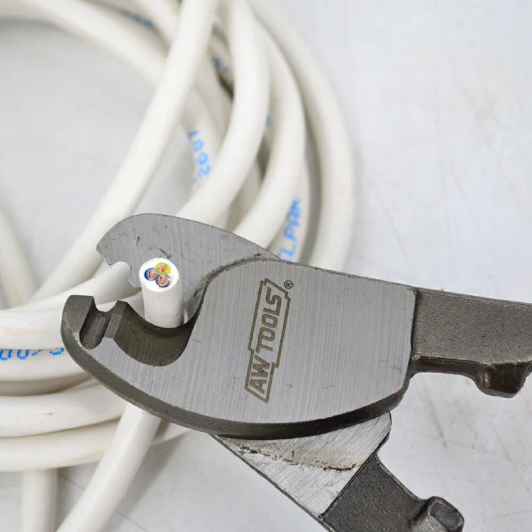 AW22100-2.jpg