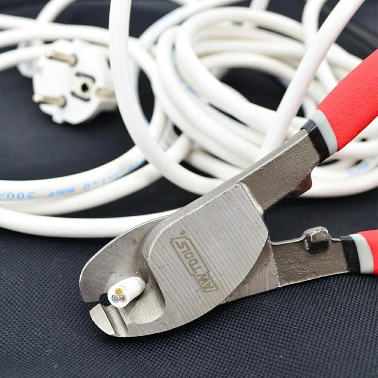 AW22100-3.jpg