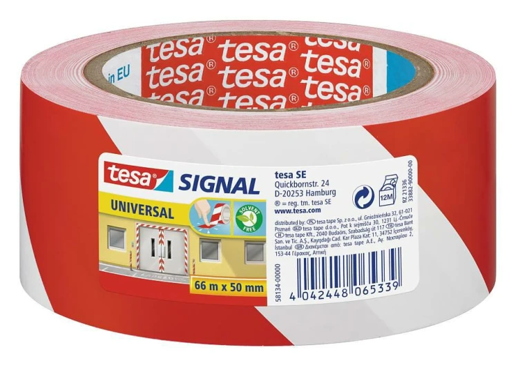 tesa22.jpg