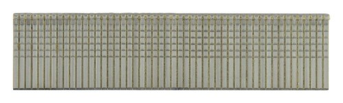 519T8aK3WeL._AC_SL1500_.jpg