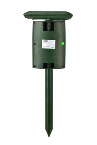 AW62023-2.jpg