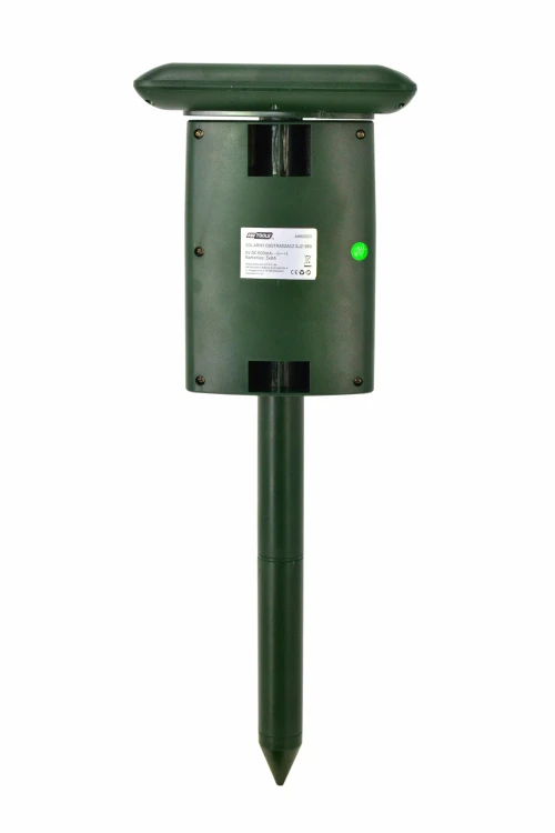 AW62023-2.jpg