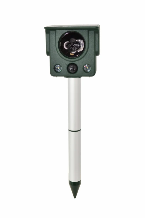 AW62017-1.jpg