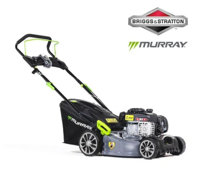 MURAY%20EQ2.jpg
