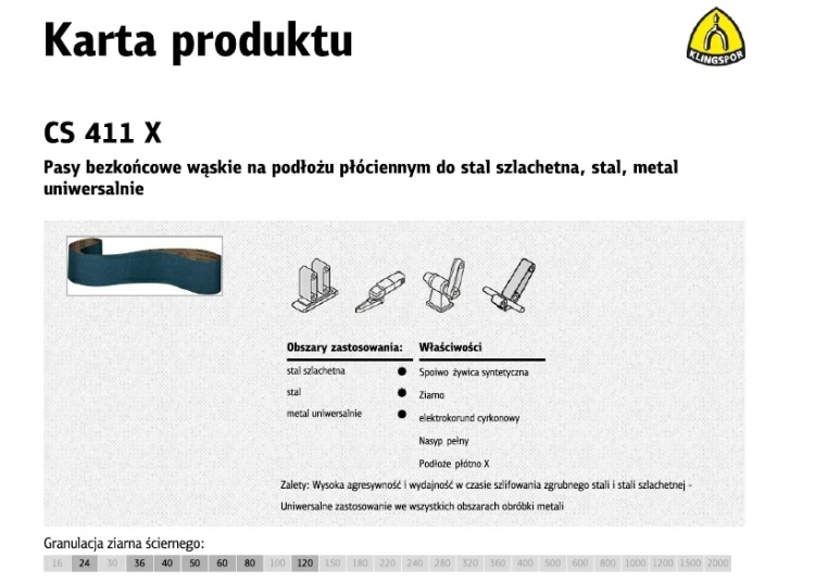 CS411X_pasy.jpg