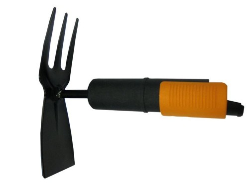 FS137572.JPG