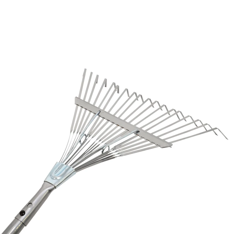 AW64305-2.jpg