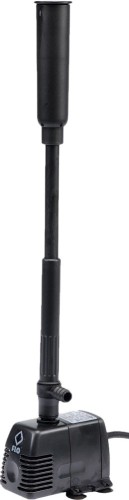 t79926.jpg
