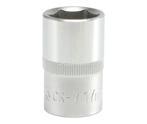 1210.jpg