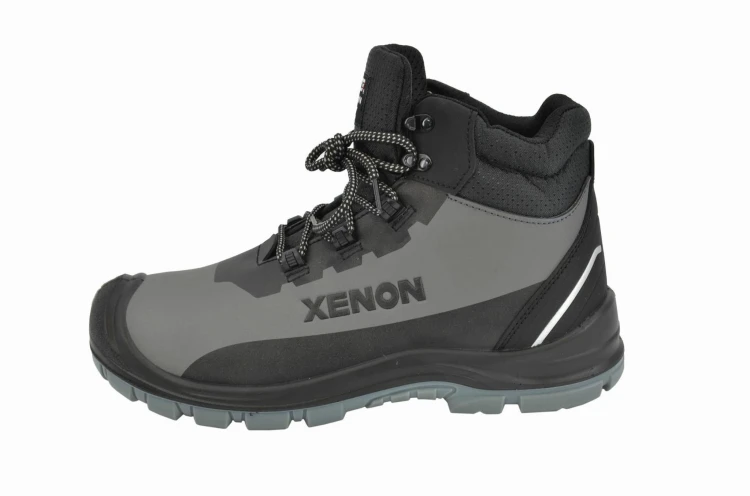 XENON-3.jpg