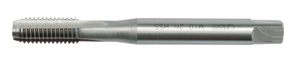 T24962.jpg