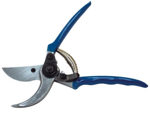 R350.JPG