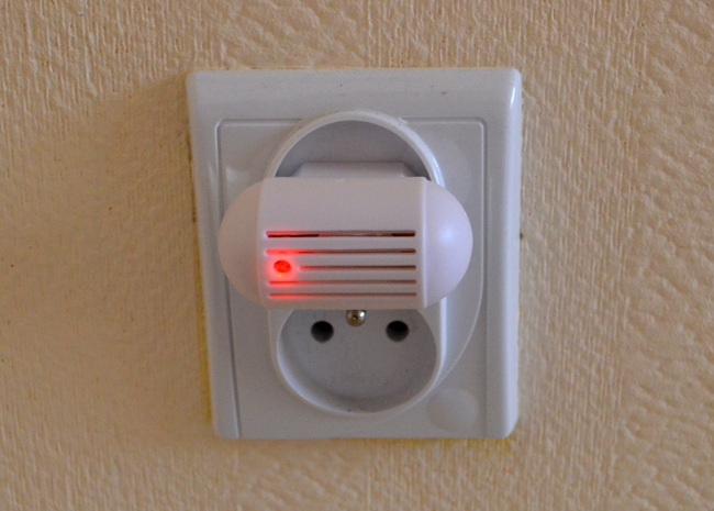 importAukcje_8B0E6522