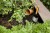 d8a27470fe5bdfe474d31d9f36f9b64f.jpg