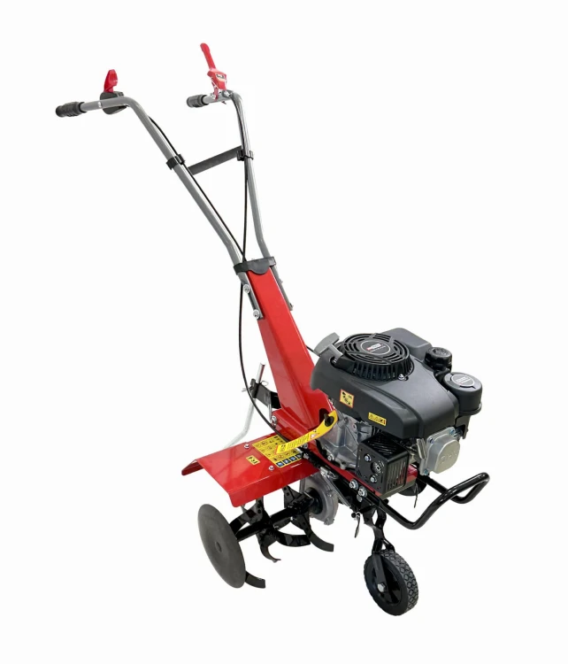 AW81050-12.jpg