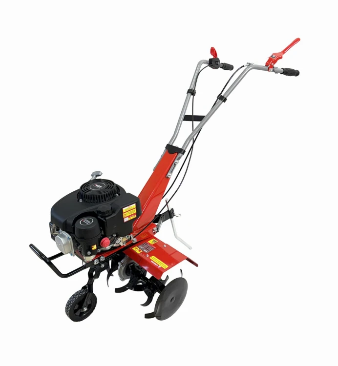 AW81050-14.jpg